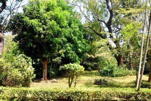 ES Holiday Bungalow Anuradhapura