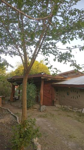 Dārzs, EcoCasa in Anisacate