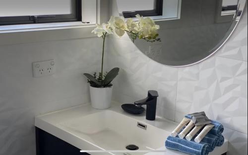 New Lynn Dream guest house, Auckland (photo 8)