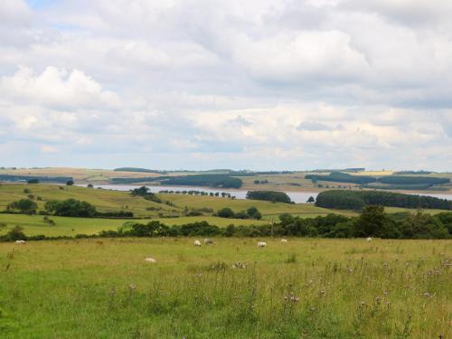Wayside Cottage Consett - image 14