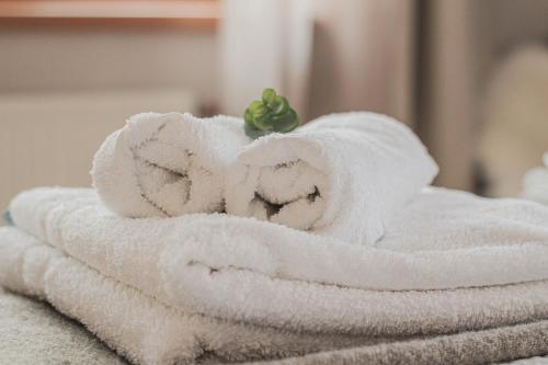 Upės apartamentai II su kiemeliu ir baseinu Upės apartamentai II su kiemeliu ir baseinu