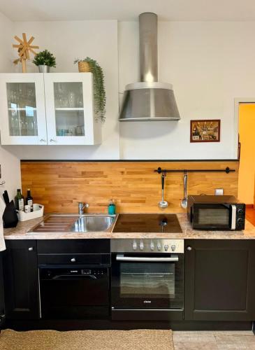 Glanz und Gloria Weingartenapartment an der Kellerstraße, viele Buschenschanke, sehr ruhige Lage, he in Loipersdorf