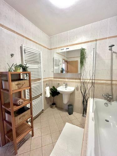 Apartment Tina - Old Town, AC, Free Private Parking, Bratislava (fotografie 4)