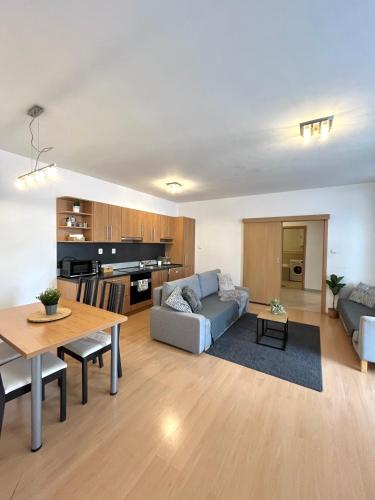 Apartment Tina - Old Town, AC, Free Private Parking, Bratislava (fotografie 5)
