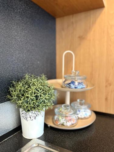 Apartment Tina - Old Town, AC, Free Private Parking, Bratislava (fotografie 10)