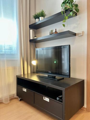 Apartment Tina - Old Town, AC, Free Private Parking, Bratislava (fotografie 8)