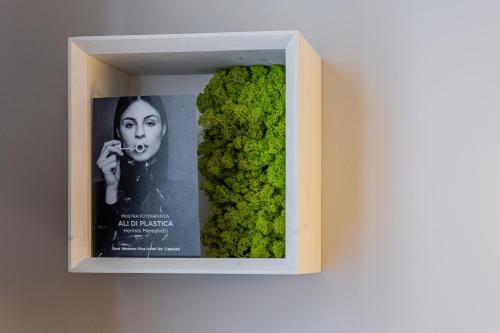 Single Room image 4