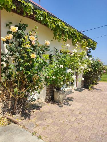 Belle maison de Campagne Confortable 17 couchages in Unverre