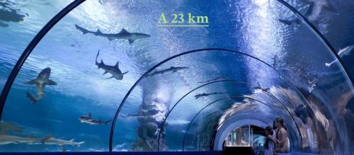 Chambre d’hôte à 13 minutes de Disneyland (Chambre d’hote a 13 minutes de Disneyland) in ชอง ซู มาร์น