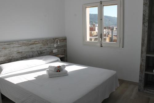 Agi Gloria Rooms