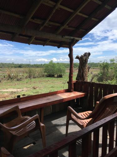 Little birds in 坦加勒