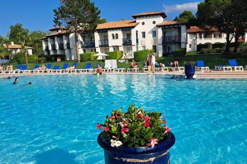 Superbe T3, Jardin & Piscine, Domaine de Bordaberry - Location saisonnière - Urrugne