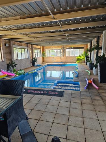 Swimmingpool, Cameo Inn Motel in West Wyalong