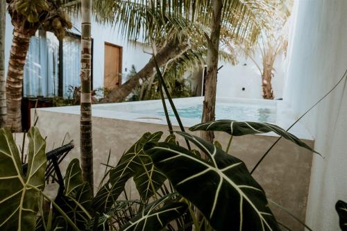 Apartments & Suites MADRE Holbox Self-Check IN Holbox Island