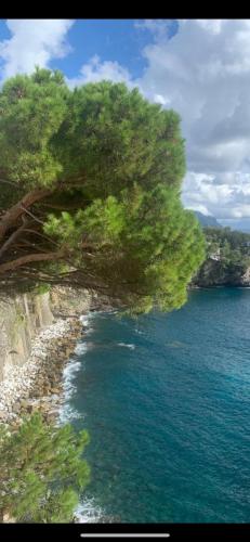 La Casa di Samantha a Villa Regina a picco sul mare con piscina