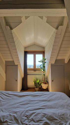 Attic Apartment 2 Bedrooms