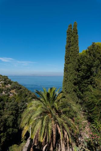 Hotel Desiree - image 9