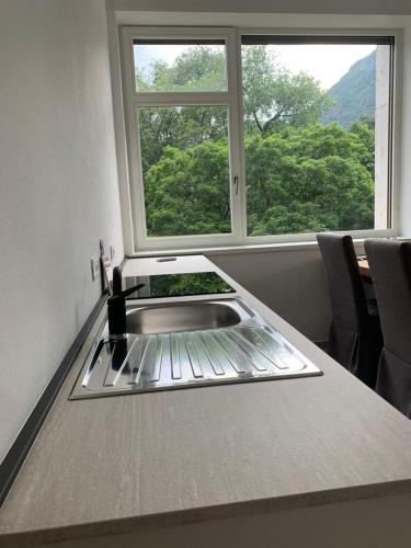 Alps Apartments Viktory 2