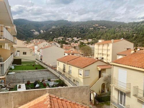 Appartement Amélie-les-Bains-Palalda, 2 personnes - FR-1-703-174 - Apartment - Amélie-les-Bains-Palalda