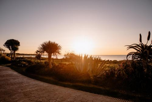 THE FLAG HOTEL Marbella, Estepona Adult Recommended