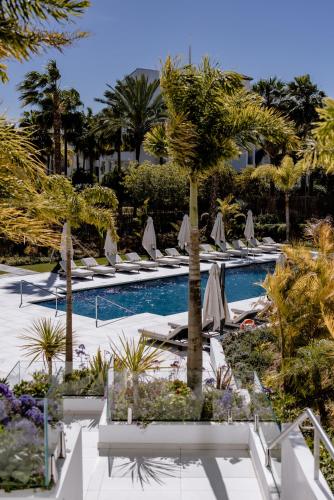 THE FLAG HOTEL Marbella, Estepona Adult Recommended