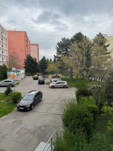 BarbyB Apartment - With free parking, Bratislava (fotografie 9)
