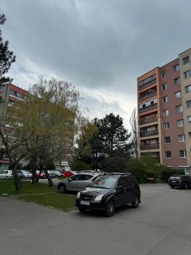 BarbyB Apartment - With free parking, Bratislava (fotografie 10)