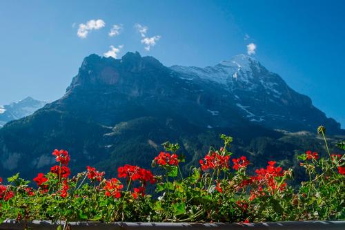 Hotel Bernerhof Grindelwald