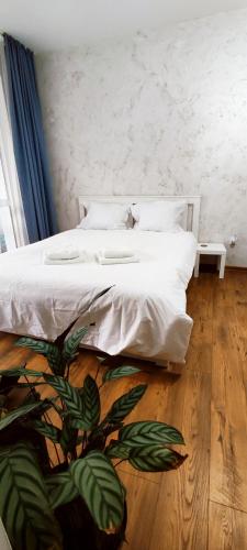 1 queen bed, 1 sofa bed