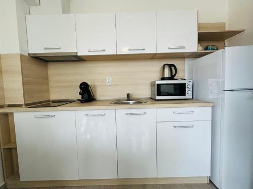 One-Bedroom Apartment image 7