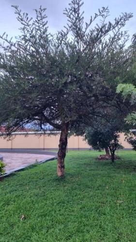 Cottage - Sleeps 4 - Pool - Near Airport - image 4