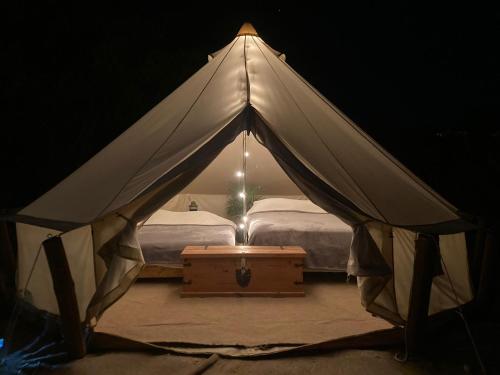 2 queen beds
