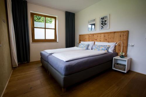 Schneckenhaus Dachstein West - image 2
