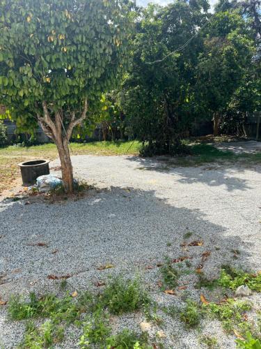Surrounding environment, Qimmy Riverside Guesthouse in Kedai Buluh