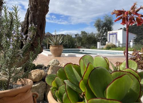 Finca Valle Verde