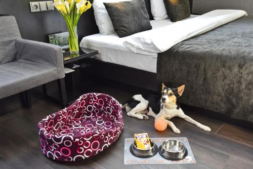 Ametyst Hotel Praha - main image