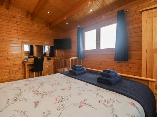 Chywolow Lodge PENZANCE - image 2