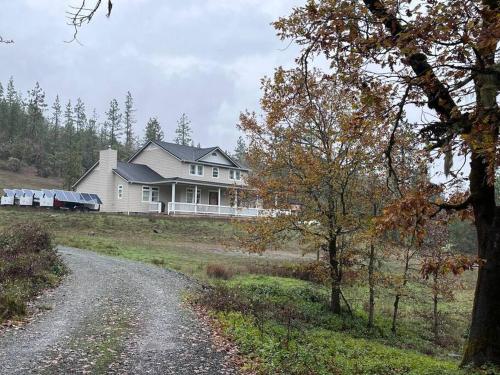 Majestic newly renovated home surrounded by greenery Majestic newly renovated home surrounded by greenery