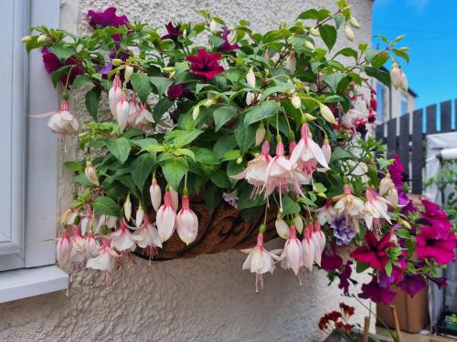 St Leonards Guest House - image 14