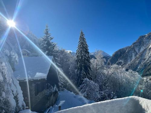 Relais Courmayeur - Fiore di bosco - Mont Blanc - Italia Courmayeur