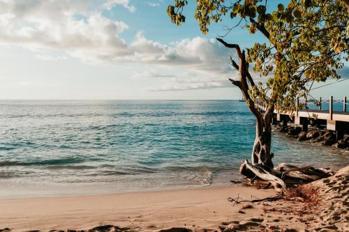 Strand, Tropical Escape in Speightstown