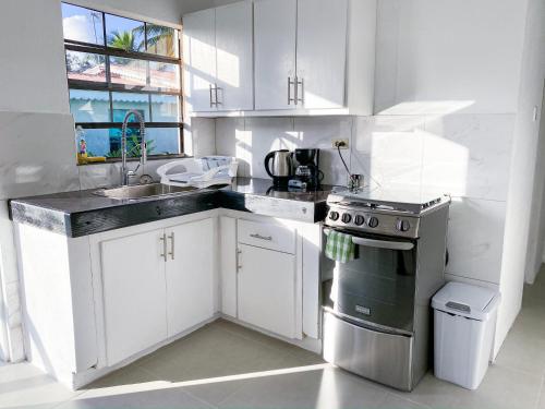 Køkken, Tropical Escape in Speightstown