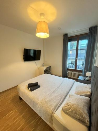 Chambre au coeur de Genève (Chambre au coeur de Geneve) in แปล็งปาแล