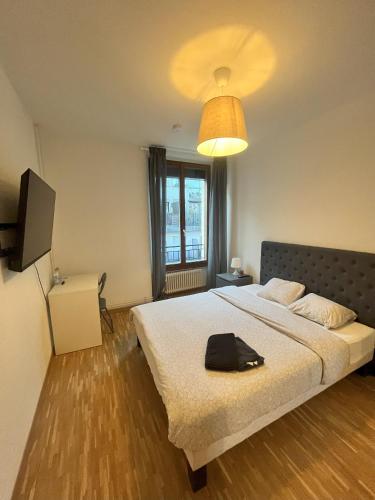 Chambre au coeur de Genève, Ginevra (foto 4)
