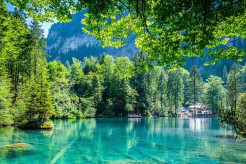 Bellevue & Classy Mountain View apartment in Kandersteg