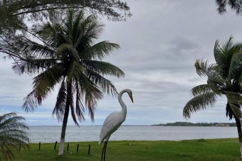 Casa da Vovó Irene (Casa da Vovo Irene) in Gesylândia