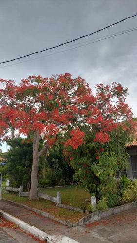 Casa da Vovó Irene (Casa da Vovo Irene) in Gesylândia