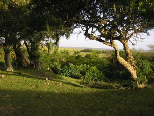 Aldeia Santuario das Aves