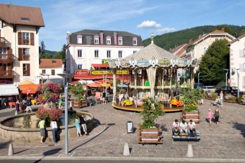 Pretty ski nest in the city center - Location saisonnière - Gérardmer