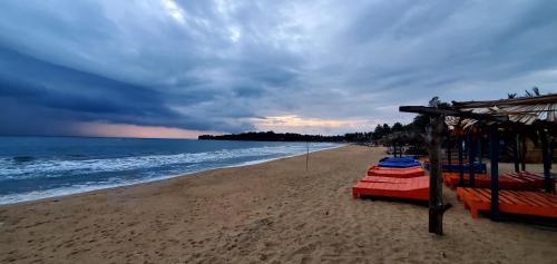Surf And Stay Arugam Bay